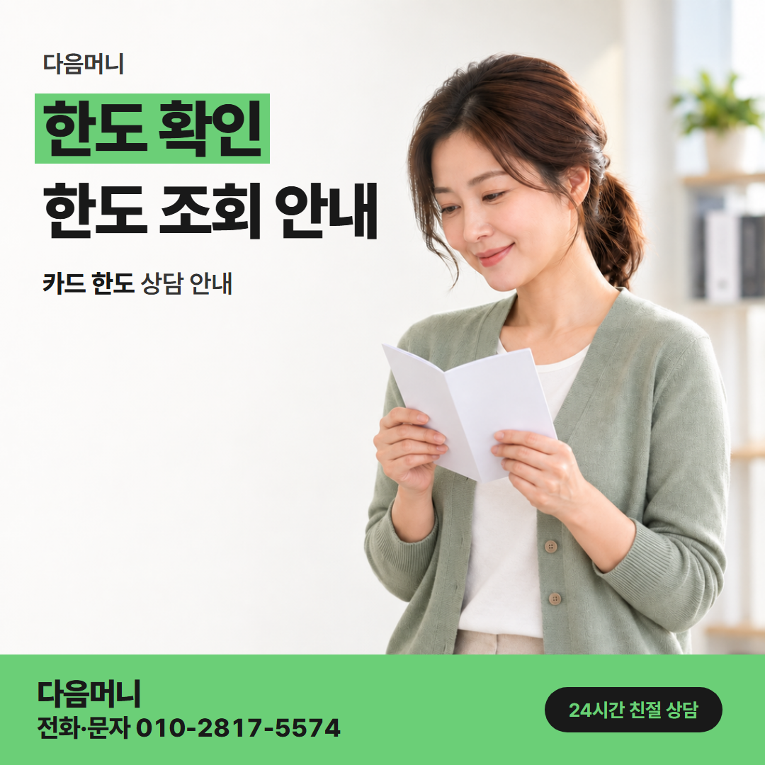 다음머니 카드할부현금화 일시불과 할부에 똑같이 빠지는 한도